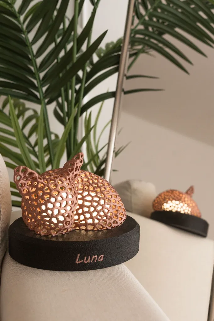 WhatsApp Image 2026-02-12 at 14.18.14.webp