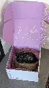 Feedback-Mucky_Cat_urn_amara.webp